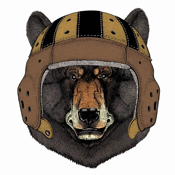 Testa di animale selvatico. Grizzly carino ritratto testa di orso marrone. Animale con casco da rugby. Immagine retrò vintage. — Vettoriale Stock