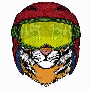 Yavru kaplan, çocuklar için küçük bir kaplan. Kayak kasklı ve gözlüklü bir hayvan..