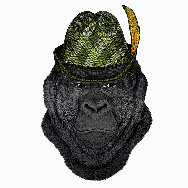 Tête de gorille. Illustration vectorielle. Portrait d'animal sauvage. Animal avec chapeau tyrol. Coiffe traditionnelle. — Image vectorielle