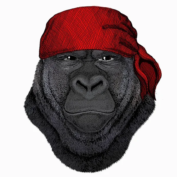 Gorilla head. Vector illustration. Animal wearing pirate headdress. Sailor portrait. — Stock Vector