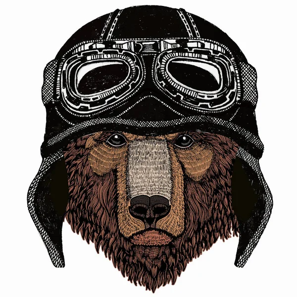 Cara de animal selvagem. Retrato de cabeça de urso pardo Grizzly bonito. Animal vestindo motocicleta vintage motociclista capacete. — Vetor de Stock