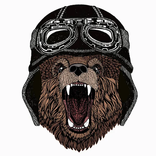 Cara de animal selvagem. Retrato de cabeça de urso pardo Grizzly bonito. Animal vestindo motocicleta vintage motociclista capacete. —  Vetores de Stock