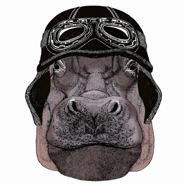 Hipopótamo, retrato hipopótamo. Cabeza de animal salvaje. Animal con casco de motociclista vintage. — Archivo Imágenes Vectoriales