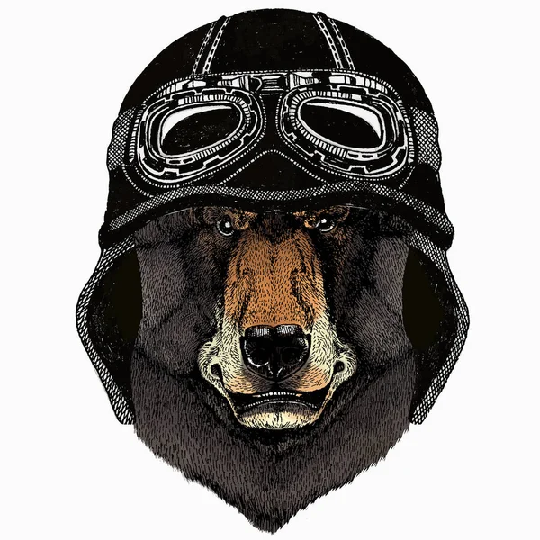 Cara de animal selvagem. Retrato de cabeça de urso pardo Grizzly bonito. Animal vestindo motocicleta vintage motociclista capacete. —  Vetores de Stock