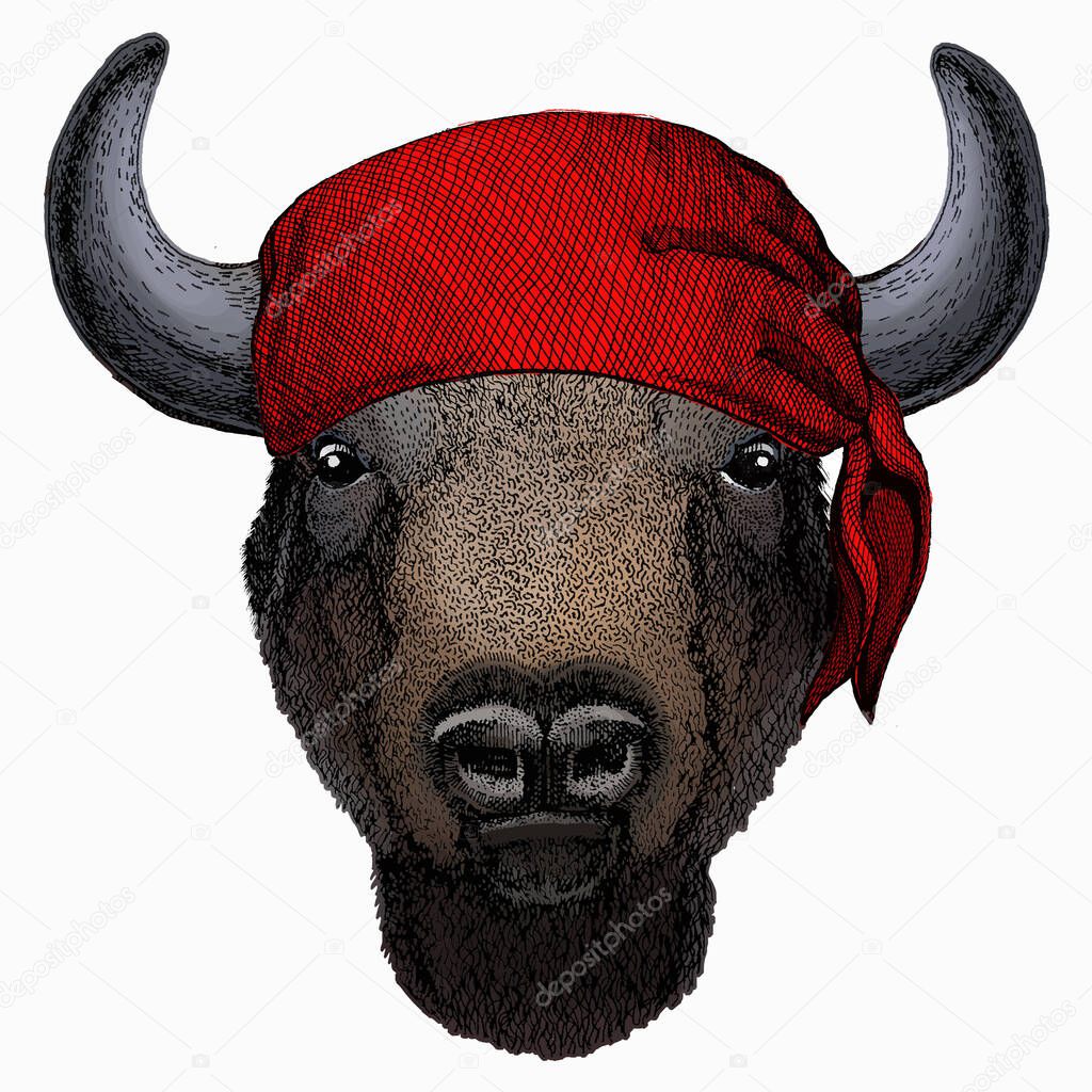 Vektör bizon kafası. Boğa portresi, buffalo. Korsan başlığı giyen bir hayvan.  Denizci portresi. Stok Vektörü © Helen_F 463614826