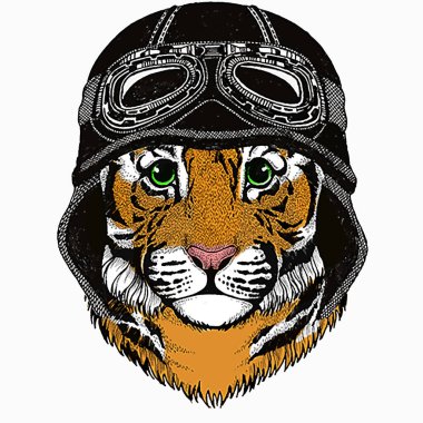 Yavru kaplan, çocuklar için küçük kaplan. Motosiklet kaskı..