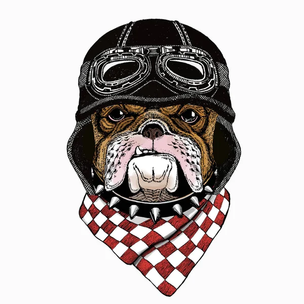 Portrait de bouledogue. Tête de chien. Face d'animal. Casque de motard vintage. — Image vectorielle