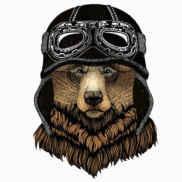 Retrato de urso selvagem. Cabeça de animal. Urso Grizzly. Vintage motociclista capacete. —  Vetores de Stock