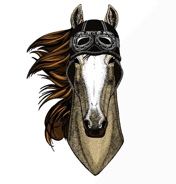 Tête de cheval, portrait de cheval. Visage animal pour logo, emblème, tee-shirt. Casque de motard vintage. — Image vectorielle