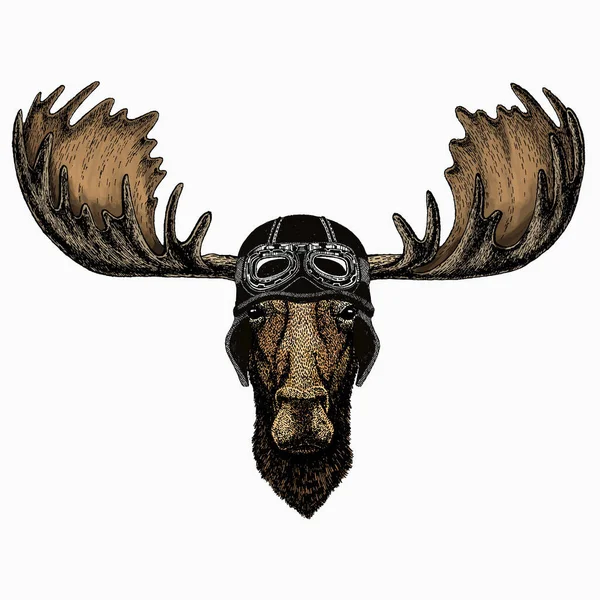 Vector wild moose, elk portrait. Moose head, face. Vintage motorcycle biker helmet. — Stock Vector