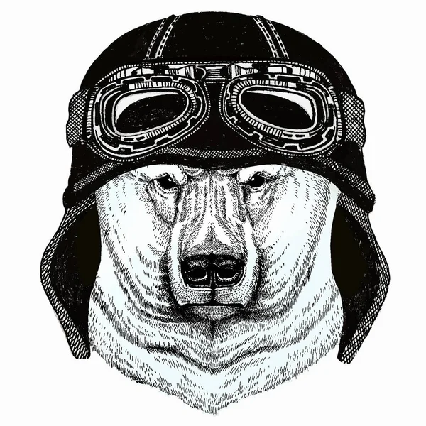 Cabeça de urso polar. Retrato animal vetorial. Vintage motociclista capacete. — Vetor de Stock
