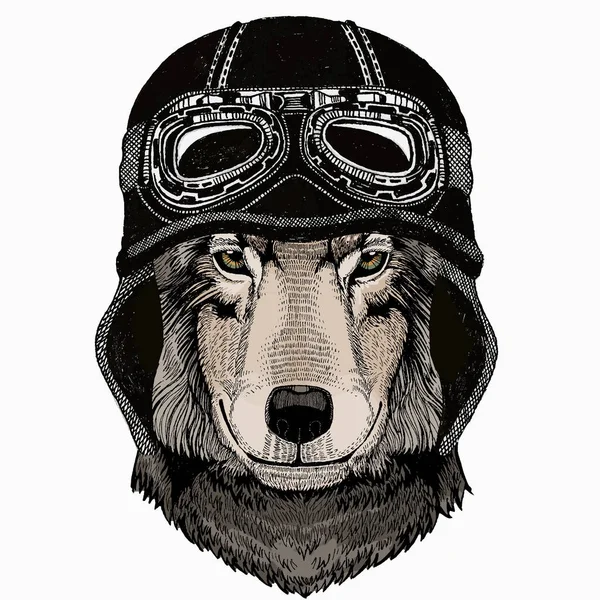 Retrato vetorial de lobo. Lobo selvagem fixe. Cabeça de animal. Vintage motociclista capacete. —  Vetores de Stock