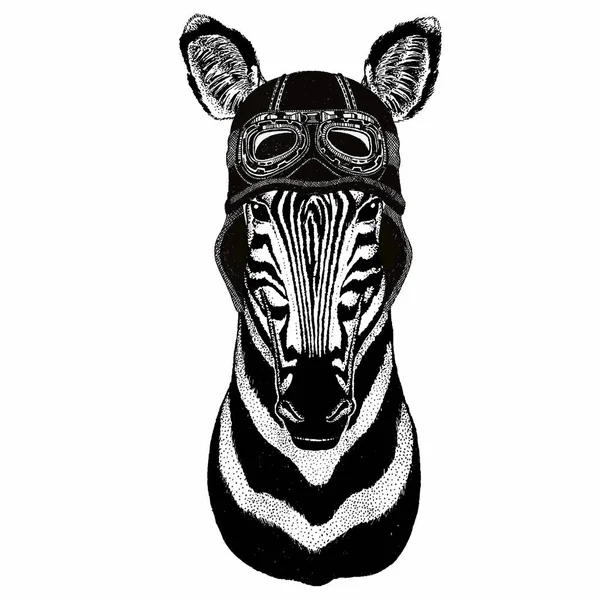 Zebra vector portrait. 아프리카 야생 얼룩말의 우두머리. 빈티지 오토바이 자전거 헬멧. — 스톡 벡터