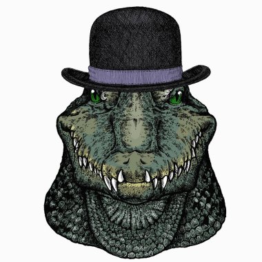 Timsah kafası. Timsah portresi. Afrika vahşi hayvanı. Melon şapka..