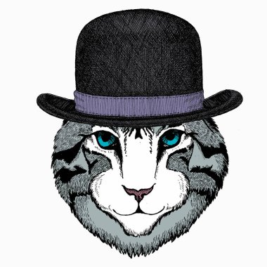 Kedi kafası. Hayvan portresi. Kedi suratlı. Melon şapka..