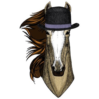At kafası, at portresi. Logo için hayvan suratı, amblem, tişört. Melon şapka..