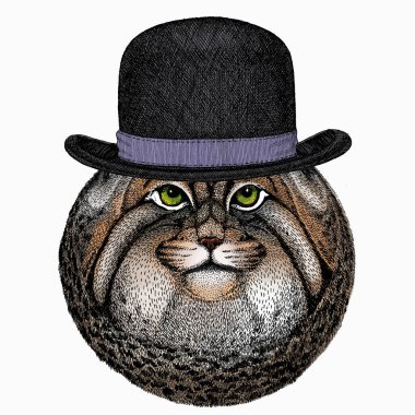Pallass kedisi. Vektör portresi, vahşi kedi kafası, vahşi kedi yüzü. Melon şapka..
