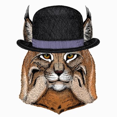 Luchs, vaşak. Vahşi kedi. Kedi kafasının vektör portresi. Melon şapka..
