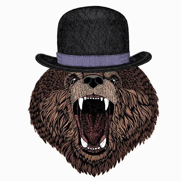 Bear wild animal face. Grizzly cute brown bear head portrait. Bowler hat. — Stock Vector