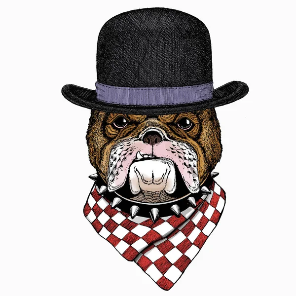 Retrato de Bulldog. Cabeza de perro. Cara de animal. Bowler sombrero. — Archivo Imágenes Vectoriales