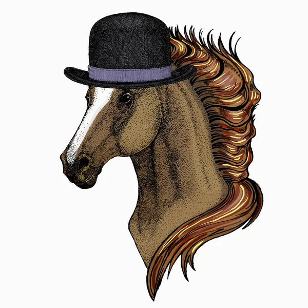 Cabeza de caballo, retrato de caballo. Cara de animal para logo, emblema, camiseta. Bowler sombrero. — Vector de stock