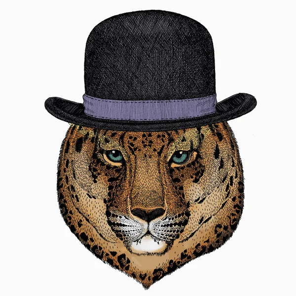 Leopar kafa. Vahşi kedi. Afrika safari amblemi için hayvan. Melon şapka.. — Stok Vektör
