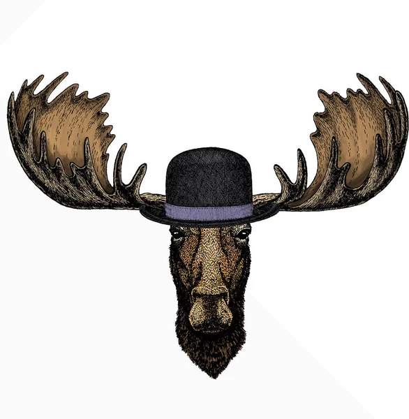 Vector wild moose, elk portrait. Moose head, face. Bowler hat. — Stock Vector