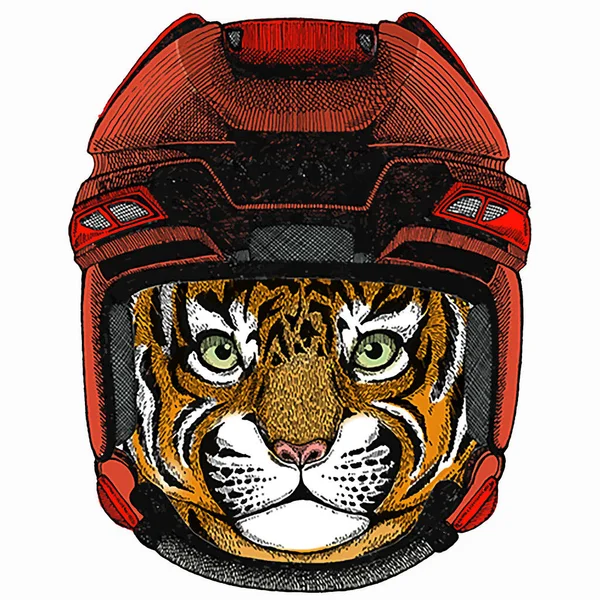 Kleine tijger. Kleine tijger voor kinderen. Hockey helm. — Stockvector