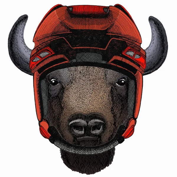 Cabeça de bisonte vetorial. Retrato de touro, búfalo. Capacete de hóquei. — Vetor de Stock