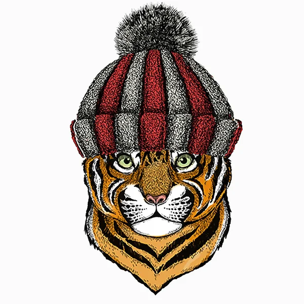 Baba tigris fej. Kis tigris gyerekeknek. Kötött téli meleg gyapjú kalap. — Stock Vector