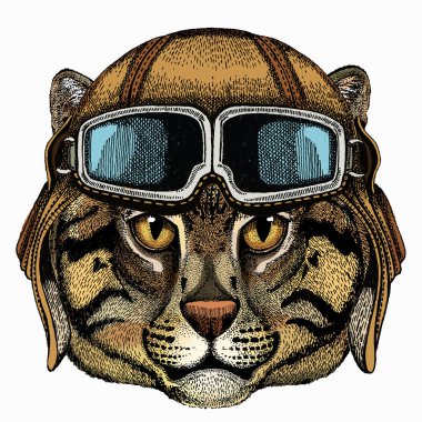 Çocuklar için balıkçı kedi. Havacı motosiklet kaskı ve gözlük.