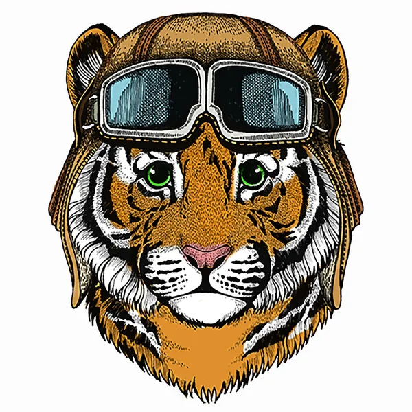 Baby tiger, small little tiger for children. Aviator motorcycle biker helmet with glasses — Stock Vector