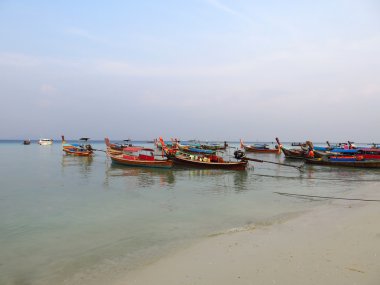 Phi Phi Island - geleneksel longtail tekne, Erawan Palm Resort Tayland