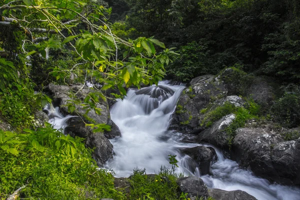 Gitgit vattenfall — Stockfoto