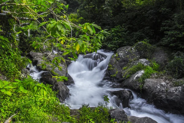 Gitgit vattenfall — Stockfoto