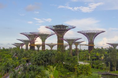 Körfezin yanındaki Gardens 'taki Supertree. 