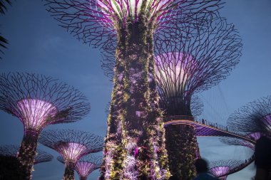 Körfezin yanındaki Gardens 'taki Supertree. 