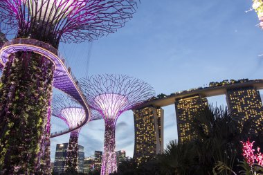 The Supertree at Gardens by the Bay  clipart