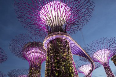 Körfezin yanındaki Gardens 'taki Supertree. 