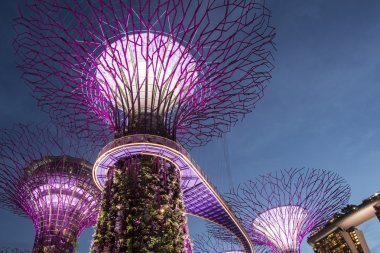 Körfezin yanındaki Gardens 'taki Supertree. 