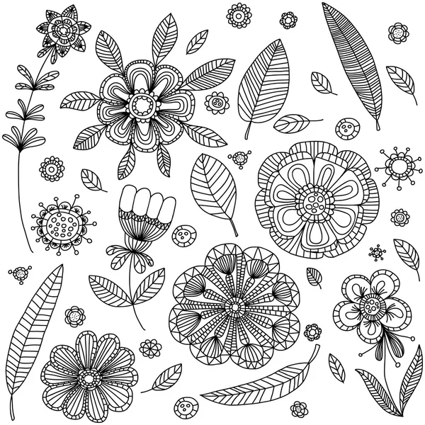 빈티지 장식 식물 및 꽃 컬렉션. — 스톡 벡터