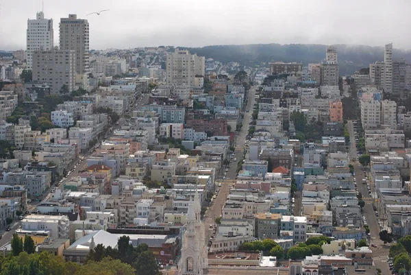 Panoramic view on residential quarters of San Francisco