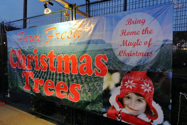 Eve Noel sihirli getirmek