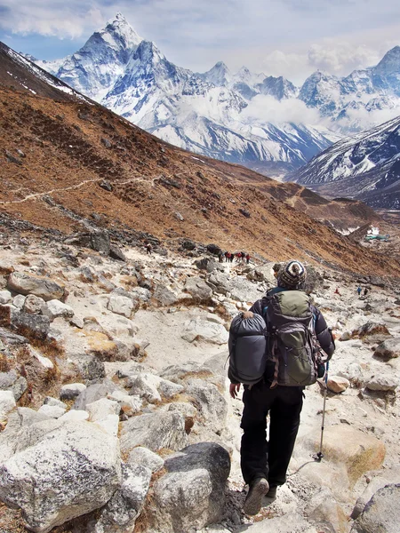 Everest ana kampı Trek, Nepal Himalaya üzerinde uzun yürüyüşe çıkan kimse — Stok fotoğraf