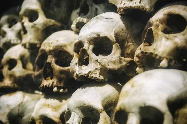 Настоящие человеческие черепа, сложенные в Музее геноцида, Пномпень, Камбоджа — стоковое фото