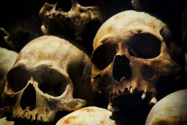 Human Skulls at the Killing Fields of Choeung Ek, Phnom Penh, Cambodge — Photo