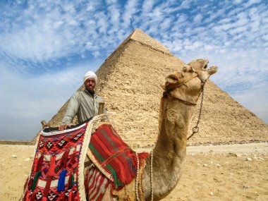 Deve adamın önünde Giza Piramidi, Cairo, Mısır
