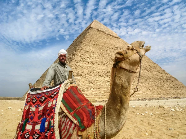 Camello hombre en frente de la pirámide de Giza, El Cairo, Egipto — Foto de Stock