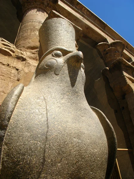 Standbeeld van Egyptische God Horus in Edfu tempel, Egypte — Stockfoto