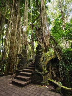 Bridge at Monkey Forest Sanctuary in Ubud, Bali, Indonesia clipart